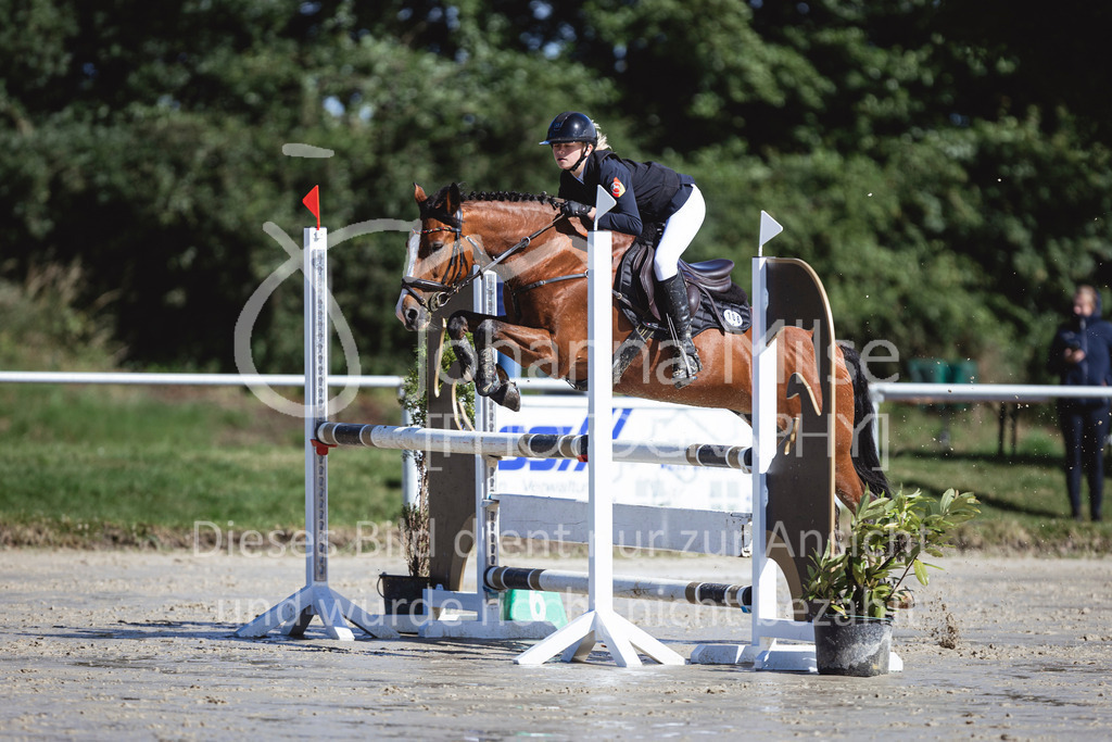 240615_CoesfeldLette_Stil-A-221 | Deine schönsten Turniermomente als professionelle Fotos! Entdecke hochwertige Pferdesport-Fotografie im Online-Shop. Jetzt Fotos finden & bestellen!