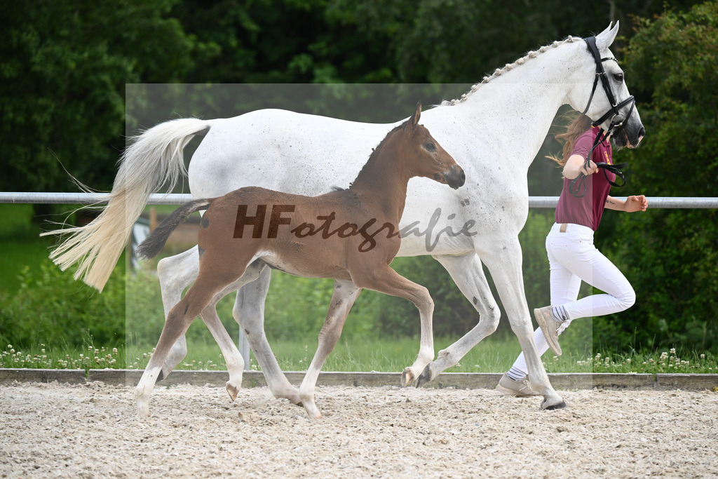 Diacord x Ciacomini_SF_Trukenbrod_20241160 | hf-fotografie - Realizzato con Pictrs.com