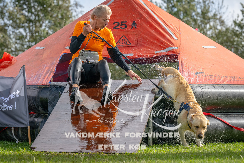 1212-92779 | kk-dogfotos