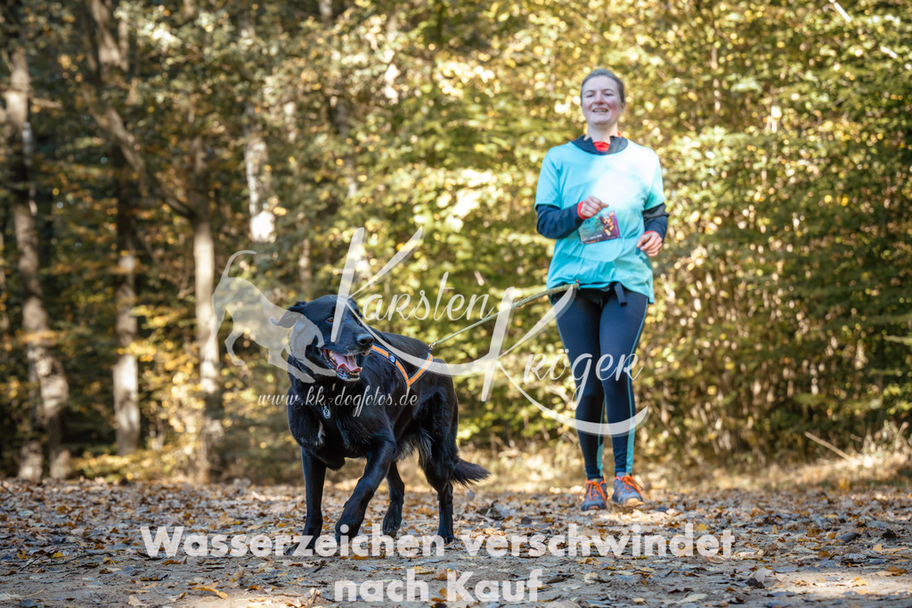 1106_ZZ91623 | kk-dogfotos