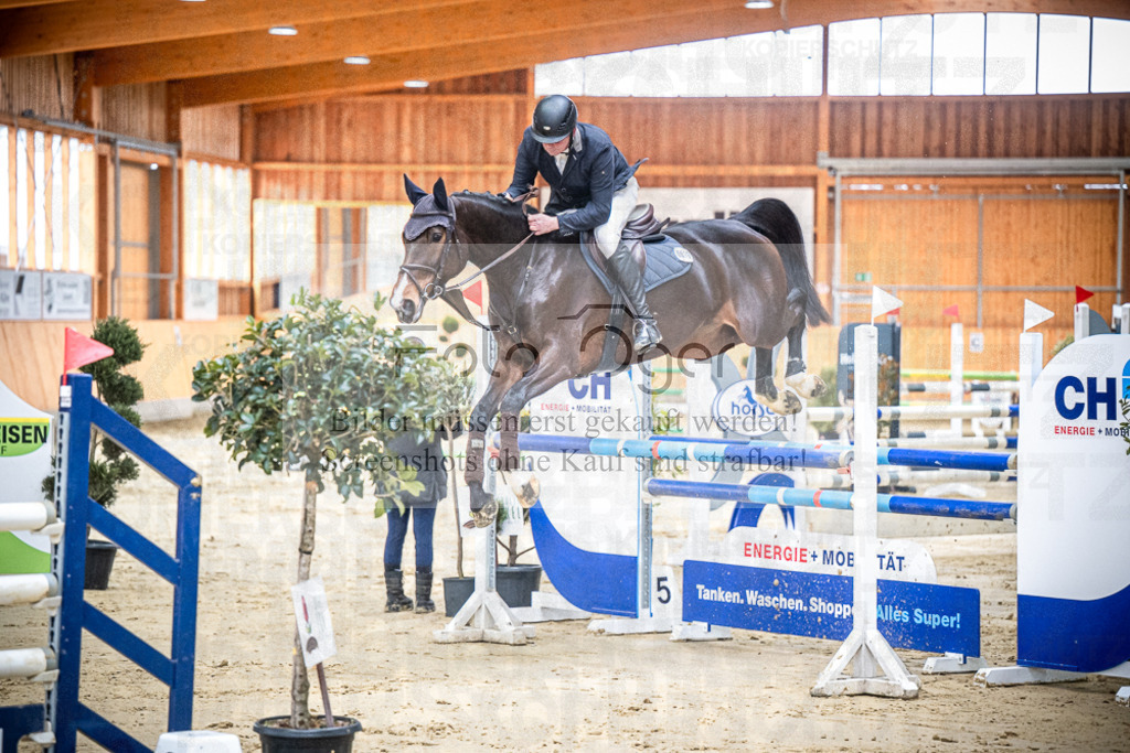 DOS_0314 | Entdecke hochwertige Reitturnierfotos von Foto Oger. Professionell, emotional und authentisch – jetzt Lieblingsmomente im Shop bestellen.Deutschlandweite Turnierfotografie. - Realisiert mit Pictrs.com