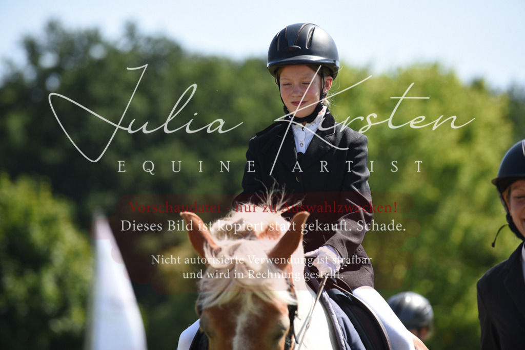 DSC_9730 | Pferde- und Turnierfotografie in Westsachsen. Pferdeportraits, Auftragszeichnungen und intuitive Kunst.