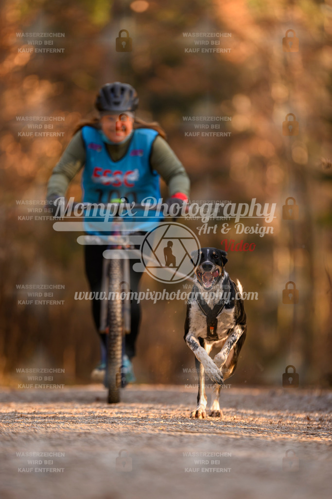 MompixPhotography_DM_AKDM_SO_2025_Scooter-179 | PayLife