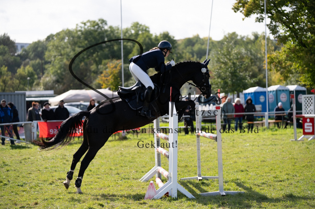 A7V07015 | Pferdefotograf