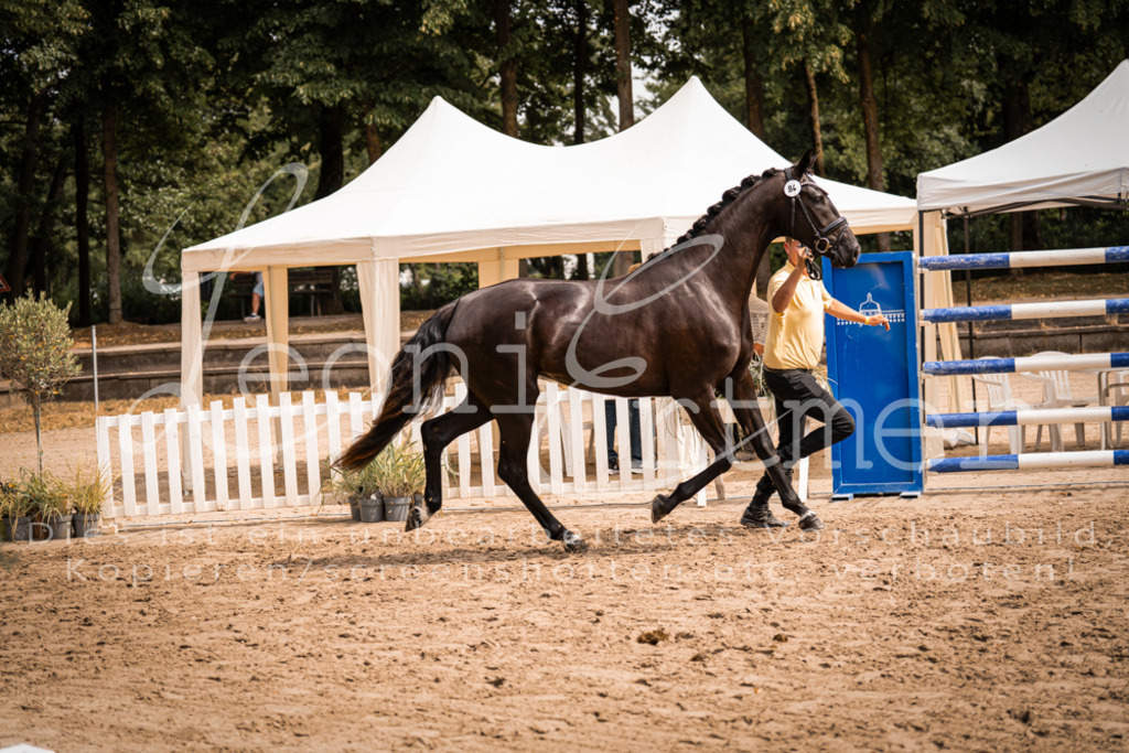 5.Fr00014 | Leoni Ertmer Photography - Realisiert mit Pictrs.com