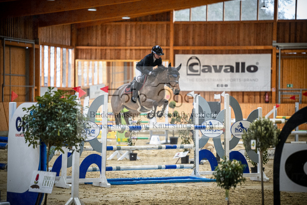 DOS_0717 | Entdecke hochwertige Reitturnierfotos von Foto Oger. Professionell, emotional und authentisch – jetzt Lieblingsmomente im Shop bestellen.Deutschlandweite Turnierfotografie. - Realisiert mit Pictrs.com