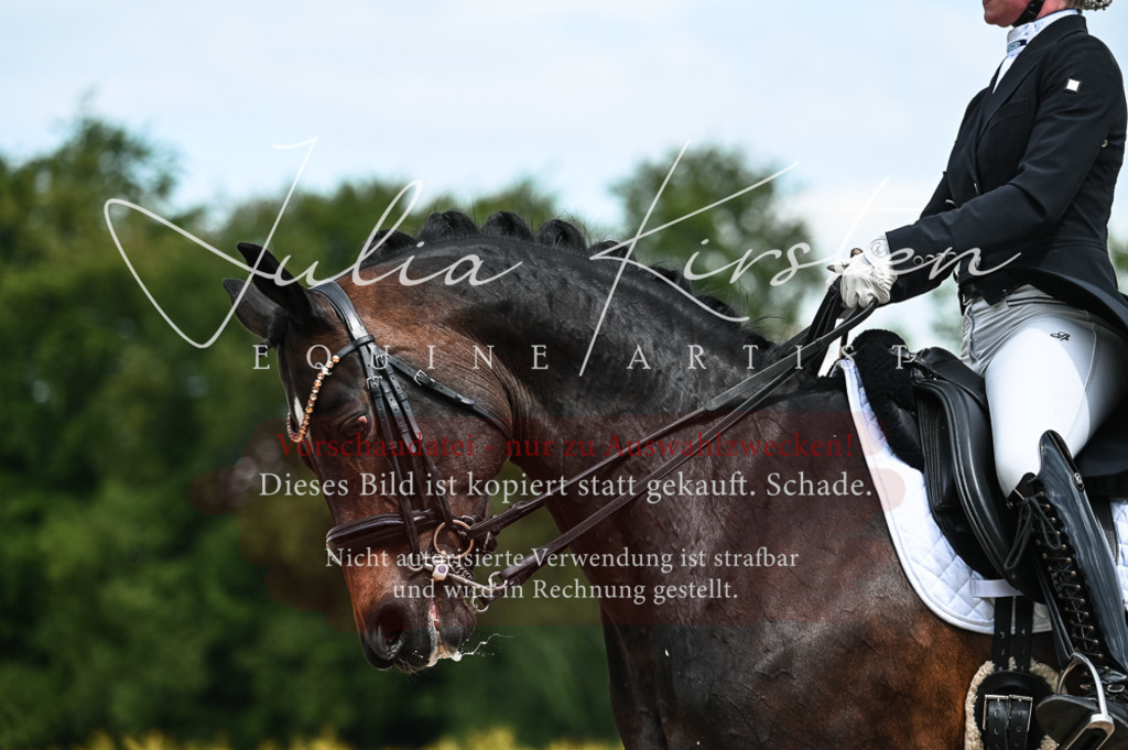 20230514_JK-Röhrsdorf-21-066 | Pferde- und Turnierfotografie in Westsachsen. Pferdeportraits, Auftragszeichnungen und intuitive Kunst.