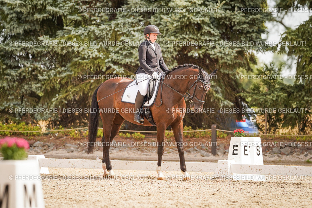 DSC01568 | Pferdegrafie