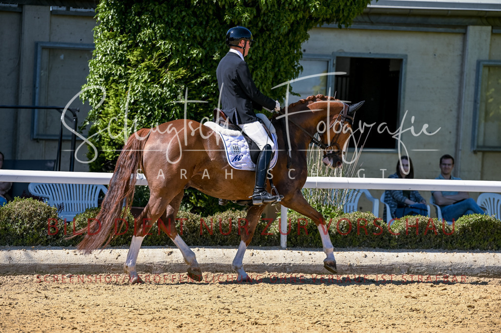 Schugtsche-Aluta25-50.Dressurpferdeprf.L-5 | Schugtsche Fotografie - Realisiert mit Pictrs.com