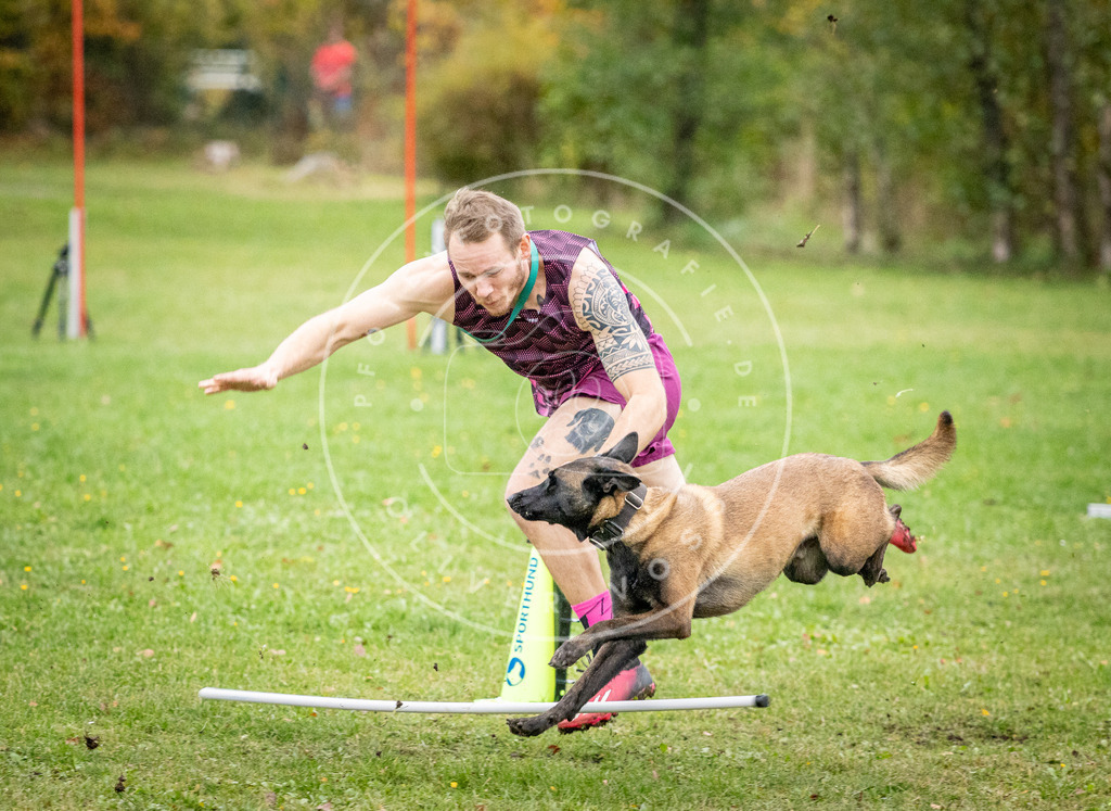 Pfotenfotografie_DV3A0818 | Hundefotografie, Tierfotograf, Pfotenfotografie, Fotoshooting Hund, Hunde Portrait, Hundesport, Hundeportraits, Heideshooting, Hunde, Sportfotograf, Hundefotograf, Turnierhundsport, THS,  - Realisiert mit Pictrs.com