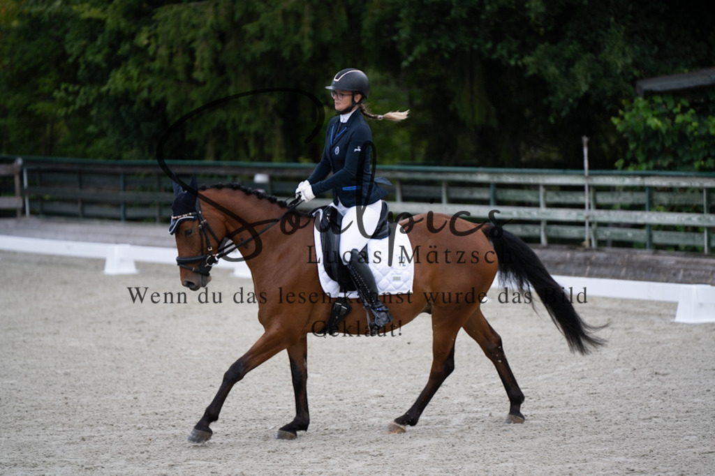 A7V06733 | Pferdefotograf