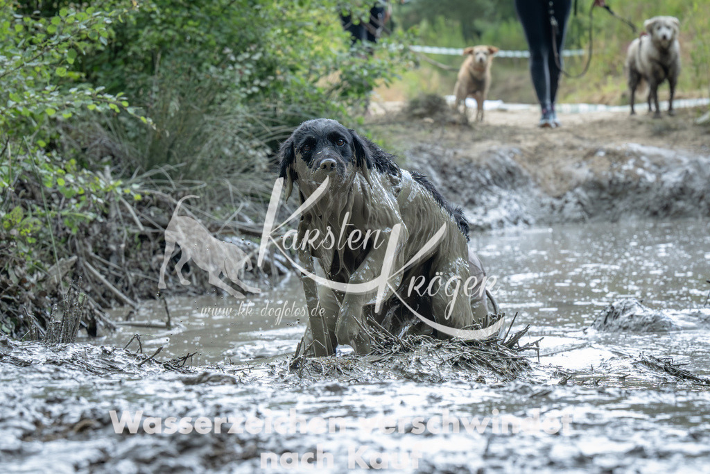 1412_ZZ91660-Verbessert-RR | kk-dogfotos