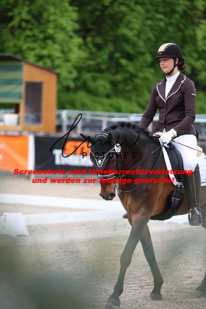 A40A9911 | lmwpictures - Realisiert mit Pictrs.com