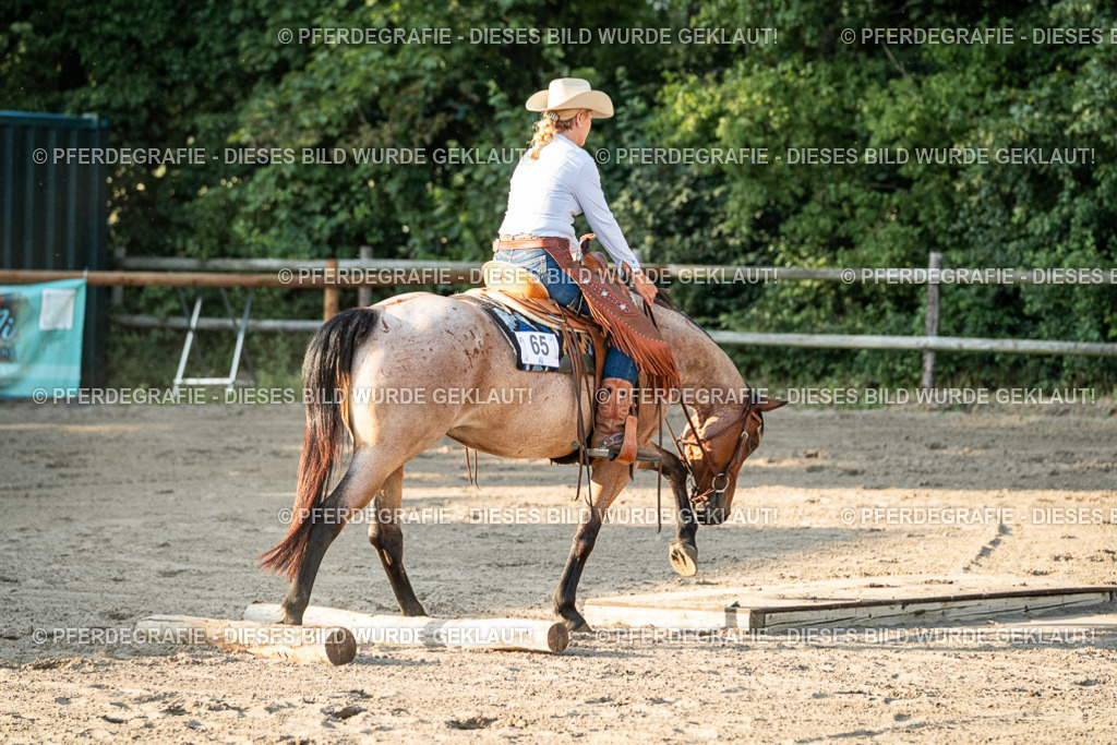 DSC06288 | Pferdegrafie