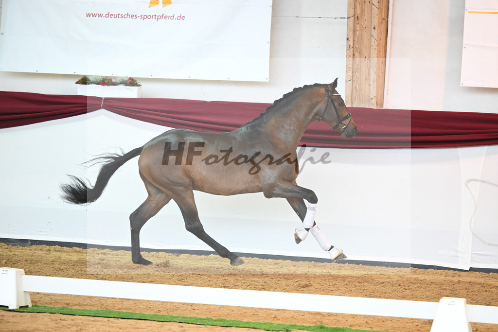 Kat-Nr. 39 v. Jovian_Dahlhoff_66221014 | hf-fotografie - Realisiert mit Pictrs.com