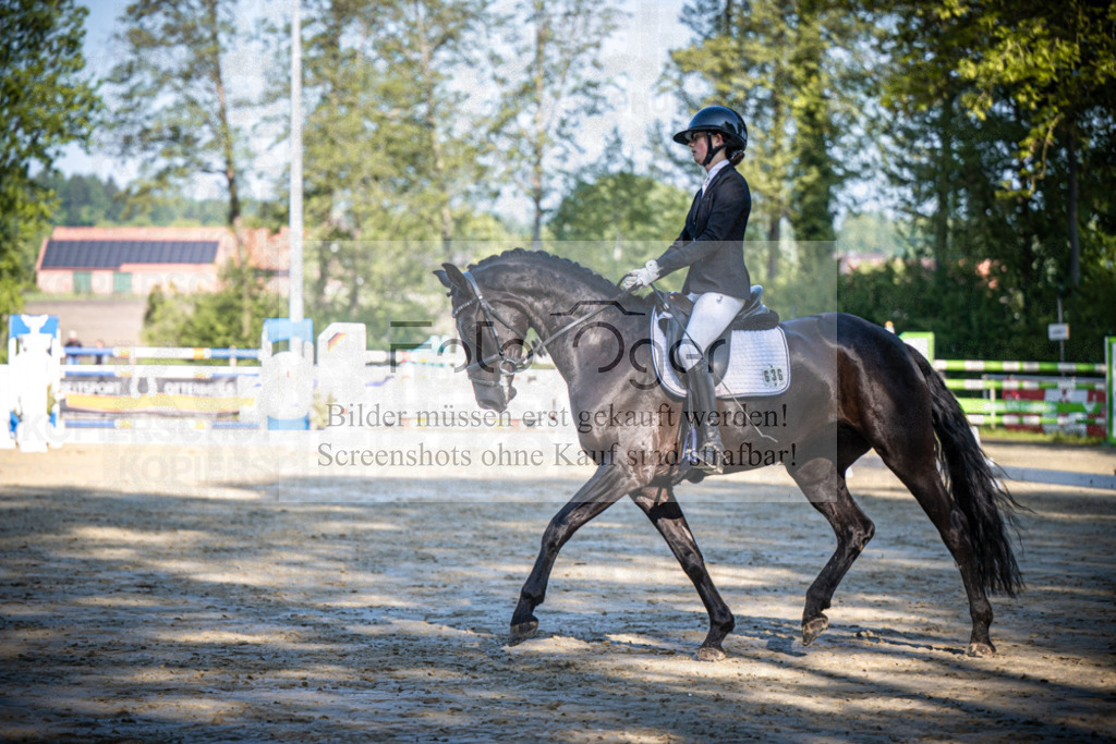 DOS_1676 | Reitturnier Venne - Realisiert mit Pictrs.com