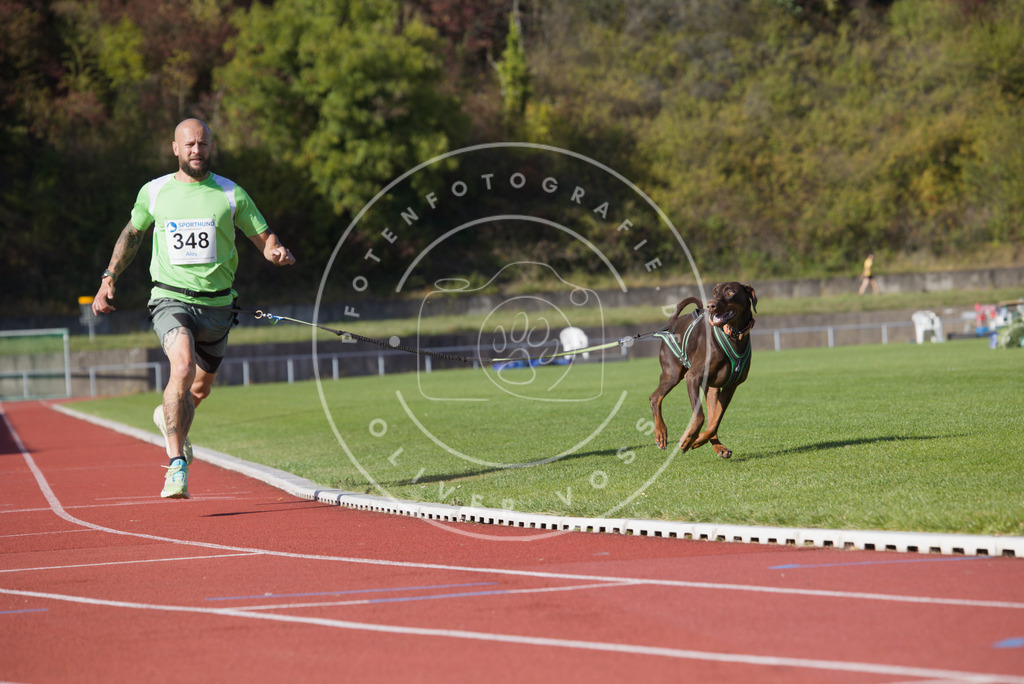 0L8A9386 | Hundefotografie, Tierfotograf, Pfotenfotografie, Fotoshooting Hund, Hunde Portrait, Hundesport, Hundeportraits, Heideshooting, Hunde, Sportfotograf, Hundefotograf, Turnierhundsport, THS,  - Realisiert mit Pictrs.com