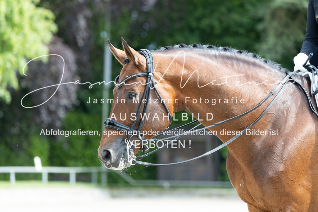 2J4A7031 | jasminmetznerfotografie