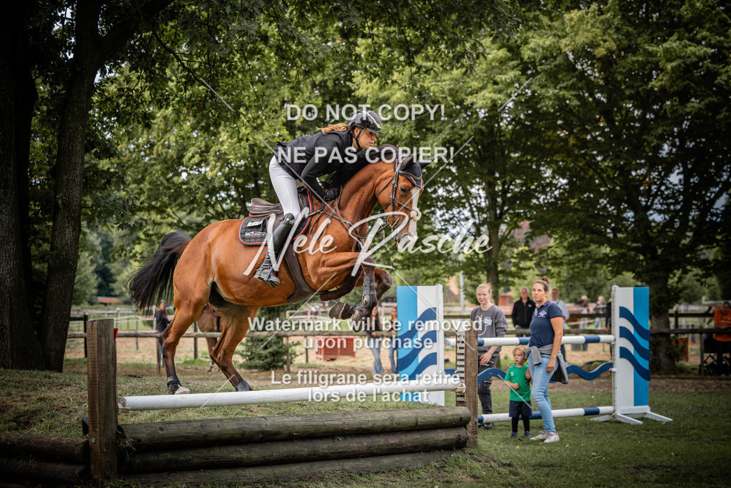 nelerasche_KlDerbyEde_07 | nelerasche