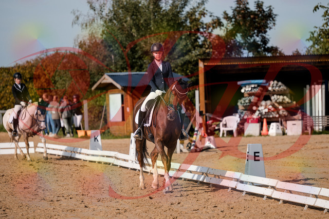 2026_10_03_Siefer-Hof_114747_Z63_27084964 | Professionelle Reitsport-, Turnier- und Eventfotografie von Robert Broda. Galerien mit ausgewählten und bearbeiteten Bildern direkt online ansehen und bestellen.