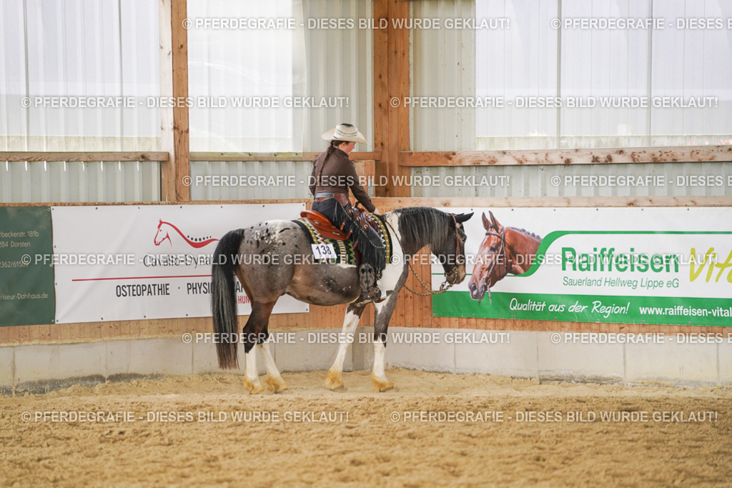 DSC02347 | Pferdegrafie