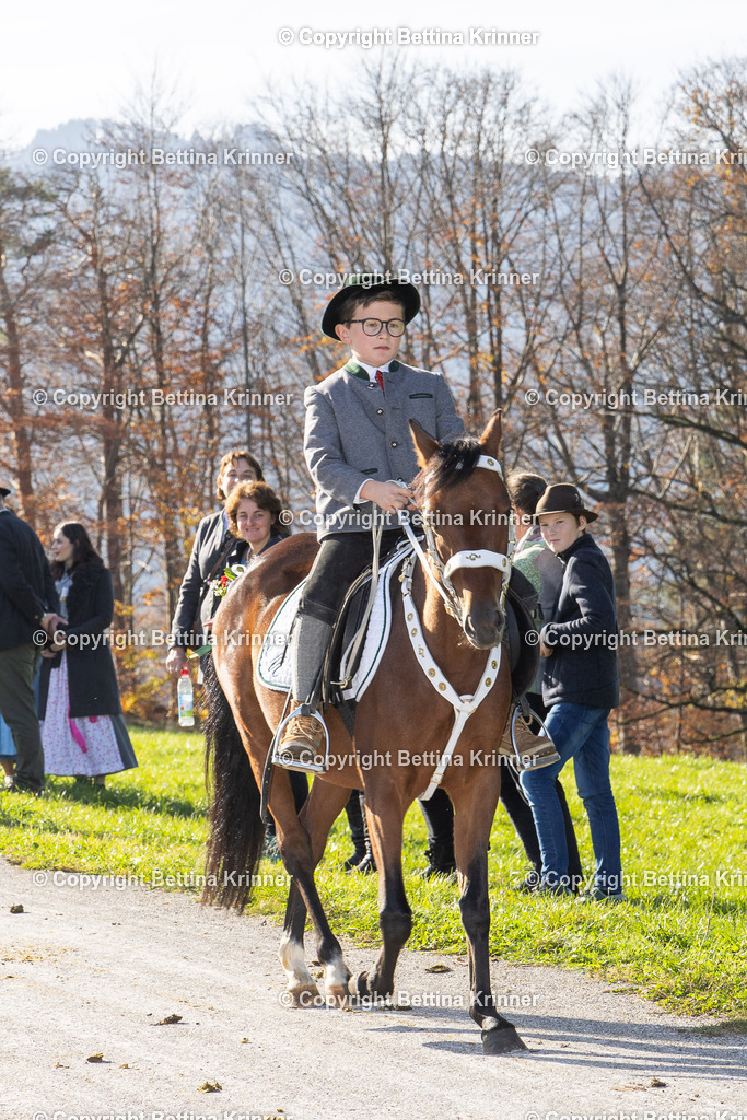 LBT24-1515 | foto-bettina-krinner - Realisiert mit Pictrs.com