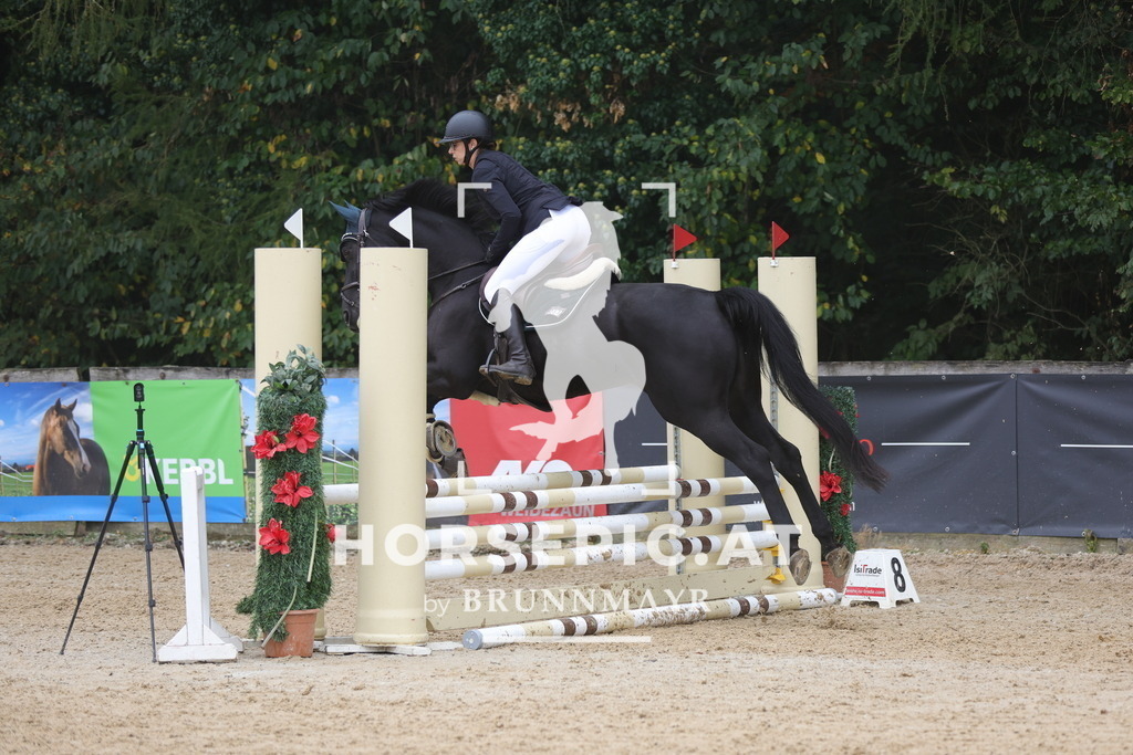 0P6A0871 | Willkommen bei Brunnmayr - Design & Fotografie – Ihrem Spezialisten für Reitturniere und Pferdeveranstaltungen in Oberösterreich, Salzburg und Bayern! Seit über 17 Jahren sind wir leidenschaftlich dabei.