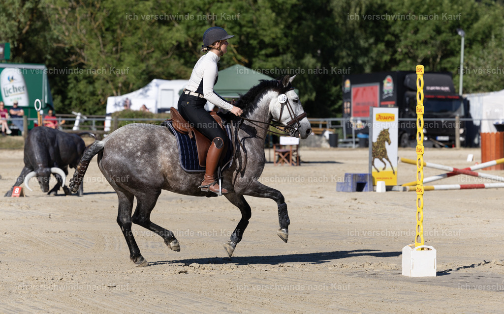 WL_Speed_6_KerstinBernhardt-5 | working equitationturnier fotograf videograf stoibphotography marixx film working equitation deutschland reitsport turnierfotografie eventfotografie equestrian events