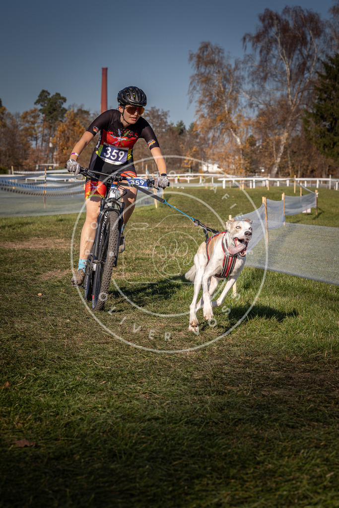 CaniXpix_0L8A6201 | Hundefotografie, Tierfotograf, Pfotenfotografie, Fotoshooting Hund, Hunde Portrait, Hundesport, Hundeportraits, Heideshooting, Hunde, Sportfotograf, Hundefotograf, Turnierhundsport, THS,  - Realisiert mit Pictrs.com