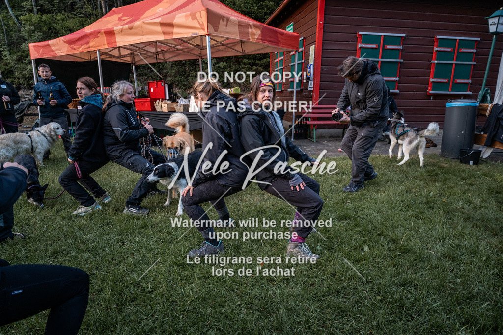 nelerasche_SaAbends_662 | nelerasche