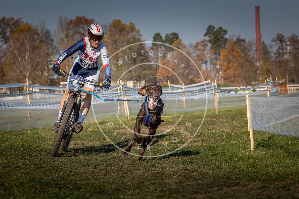 CaniXpix_0L8A6098 | Hundefotografie, Tierfotograf, Pfotenfotografie, Fotoshooting Hund, Hunde Portrait, Hundesport, Hundeportraits, Heideshooting, Hunde, Sportfotograf, Hundefotograf, Turnierhundsport, THS,  - Realisiert mit Pictrs.com