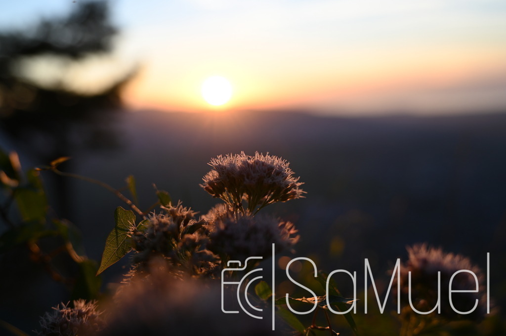 SM6_7167 | Sa-Muel - Realisiert mit Pictrs.com