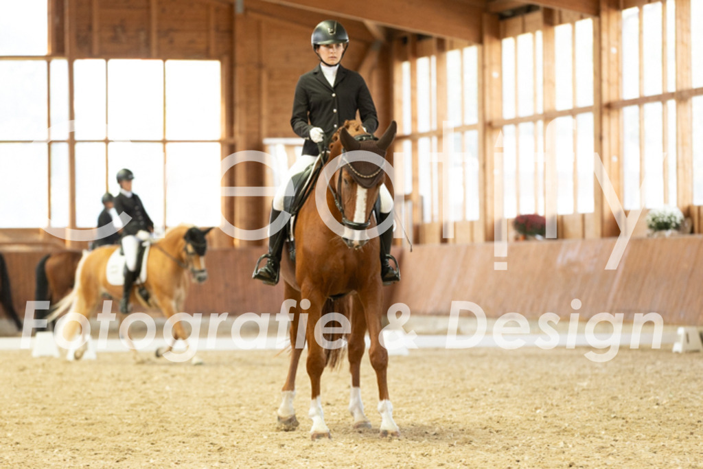 IMG_5934 | Creatify Fotografie