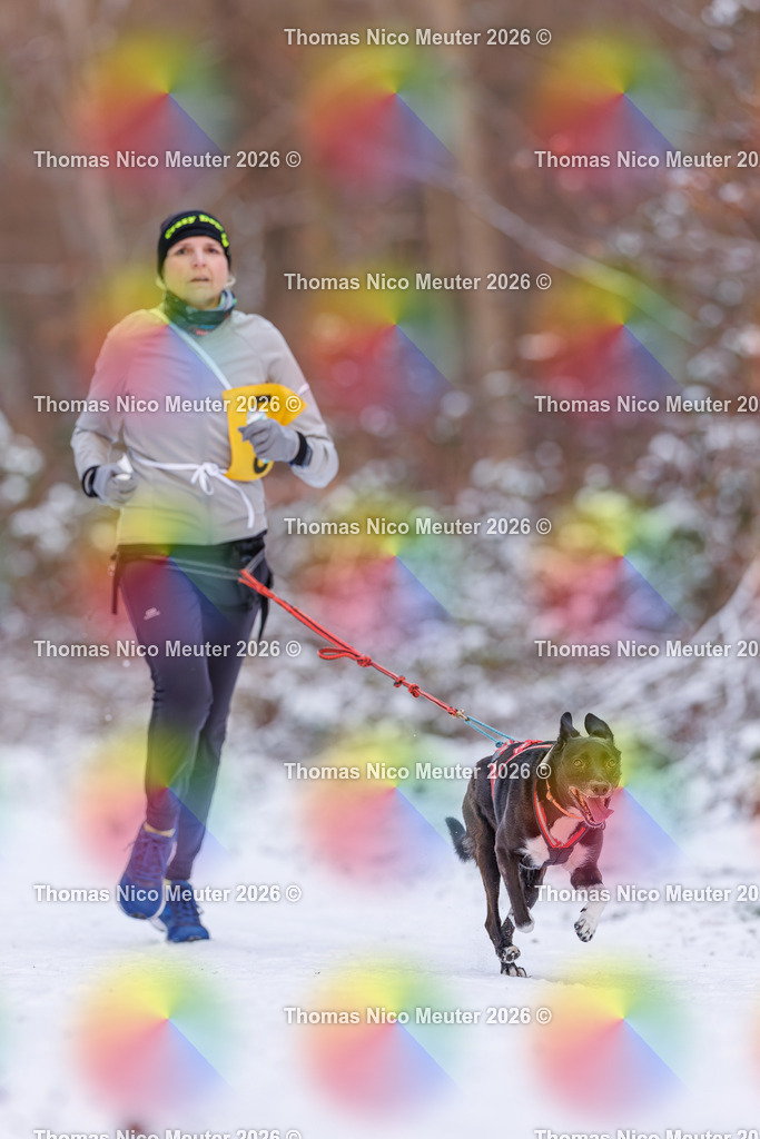 Thomas_Nico_Meuter(C)_223A7970 | Bild von Thomas Nico Meuter - Realisiert mit Pictrs.com