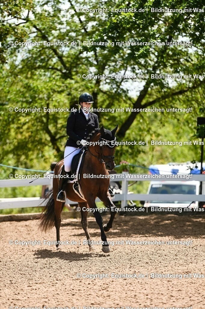 20230716_03_Dressurprfg. Kl.L - Tr._0116 | equistock