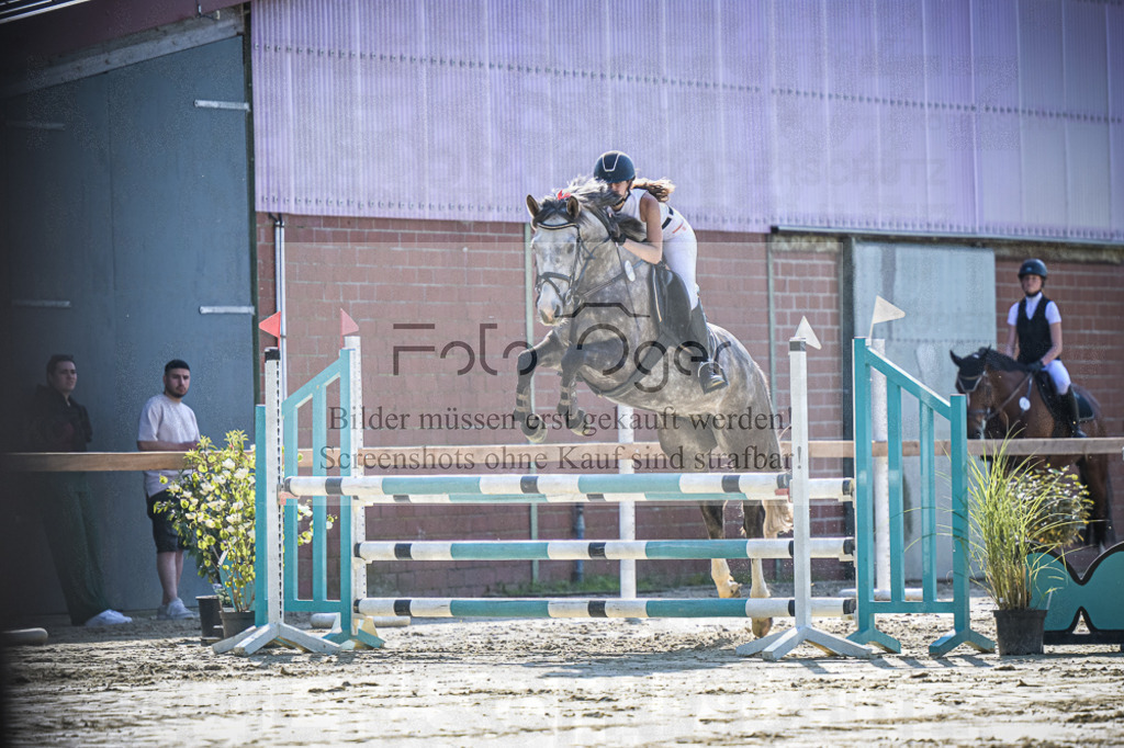 DOS_3103 | Entdecke hochwertige Reitturnierfotos von Foto Oger. Professionell, emotional und authentisch – jetzt Lieblingsmomente im Shop bestellen.Deutschlandweite Turnierfotografie. - Realisiert mit Pictrs.com