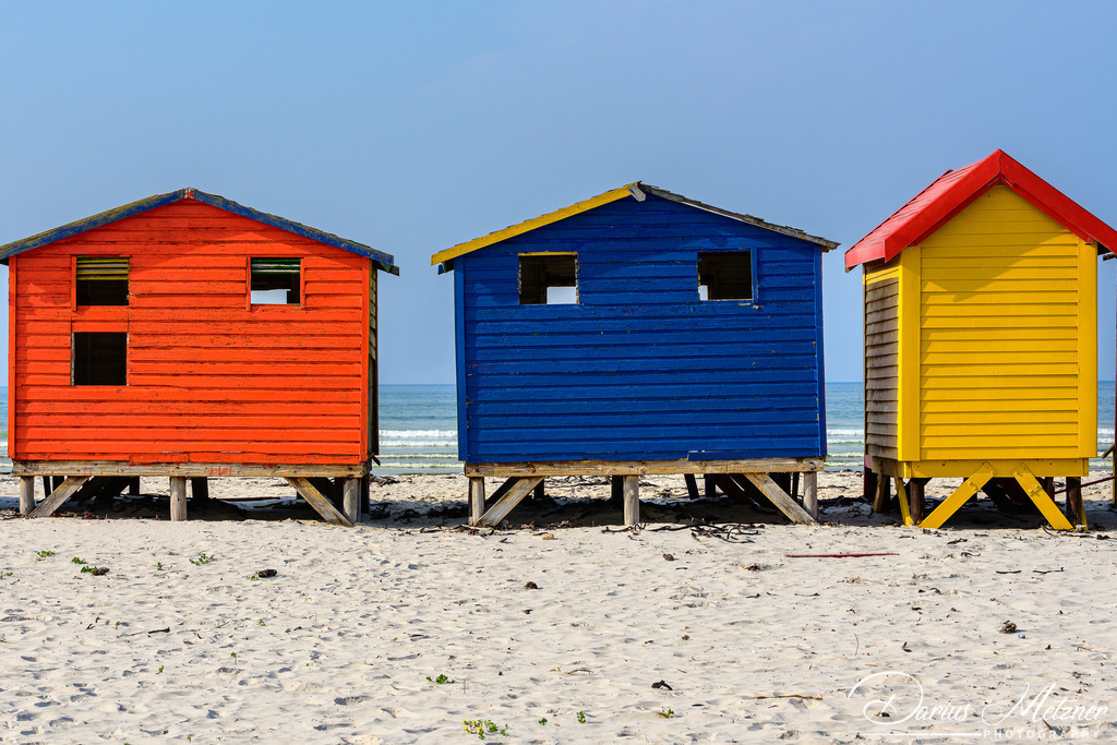 _DSC6601 | Fotografien, Fotos und Bilder aus Mainz, Frankfurt, Wiesbaden und anderen Orten auf der Welt - Fotografiert von Darius Metzner