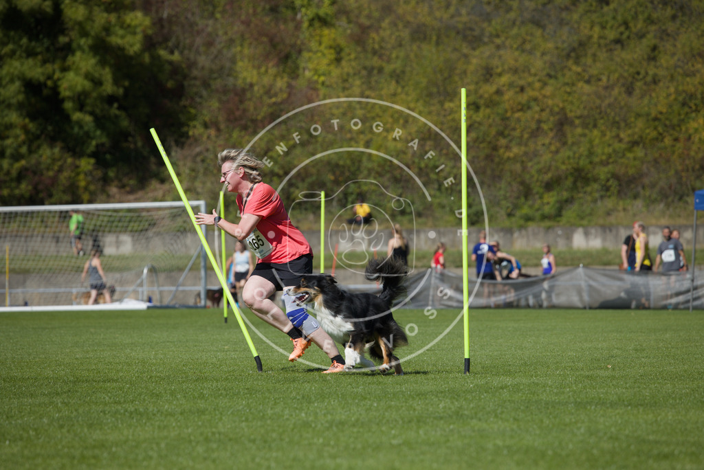 0L8A6556 | Hundefotografie, Tierfotograf, Pfotenfotografie, Fotoshooting Hund, Hunde Portrait, Hundesport, Hundeportraits, Heideshooting, Hunde, Sportfotograf, Hundefotograf, Turnierhundsport, THS,  - Realisiert mit Pictrs.com