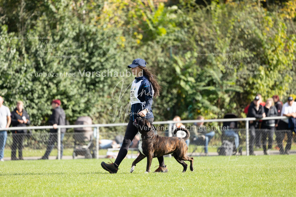 _16A5675 | Einzigartige Fotos von Hunden & Menschen –Actionfotos, Portraits, Vereinsaufnahmen & Paarshootings – authentisch, lebendig & mit Herz.