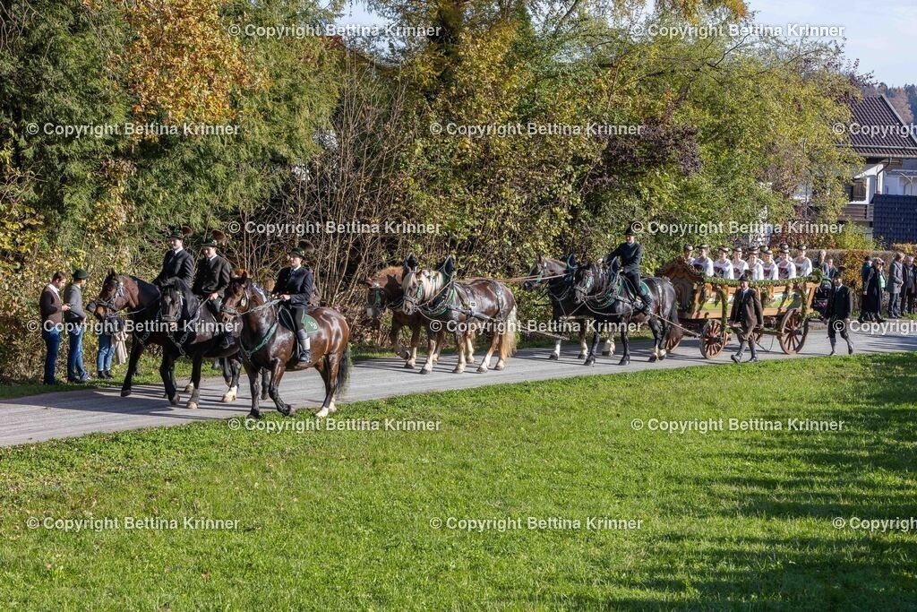 LBT24-462 | foto-bettina-krinner - Realisiert mit Pictrs.com