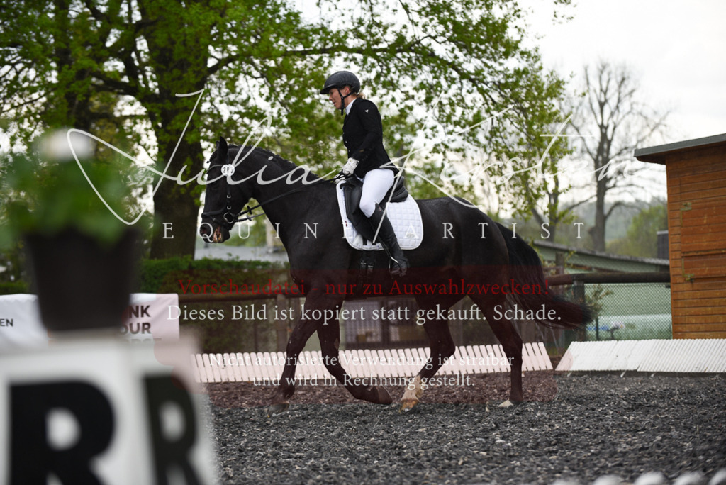 20230513_JK-Röhrsdorf-15-275 | Pferde- und Turnierfotografie in Westsachsen. Pferdeportraits, Auftragszeichnungen und intuitive Kunst.