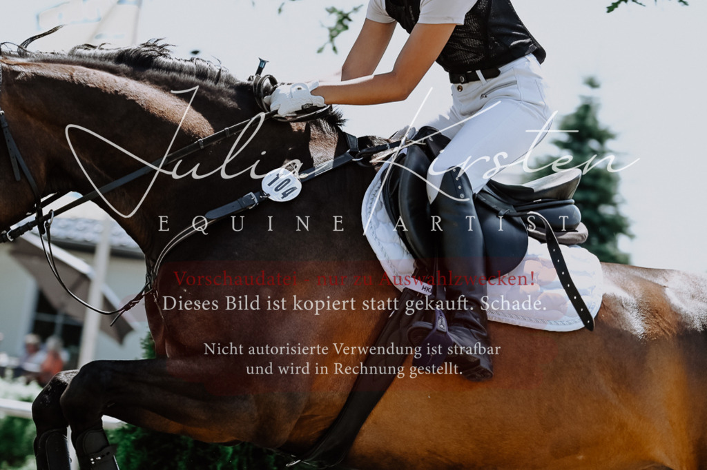 DSC_0534 | Pferde- und Turnierfotografie in Westsachsen. Pferdeportraits, Auftragszeichnungen und intuitive Kunst.