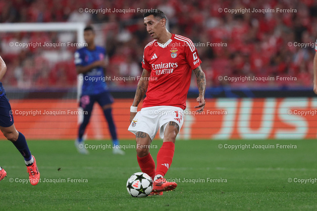 02.10.2024_ xJFAx Championsleague SL Benfica - Atl_tico Madrid_1602 Kopie | Portugal, Lisbon 2. October 2024 Uefa Champions League phase 2024/25 Matchday 2, S.L.Benfica - Atletico de Madrid v.l., Angel di Maria (S.L.Benfica)  am Ball, Freisteller, Einzelbild, Ganzkörper, Aktion, Action, Spielszene - Realisiert mit Pictrs.com