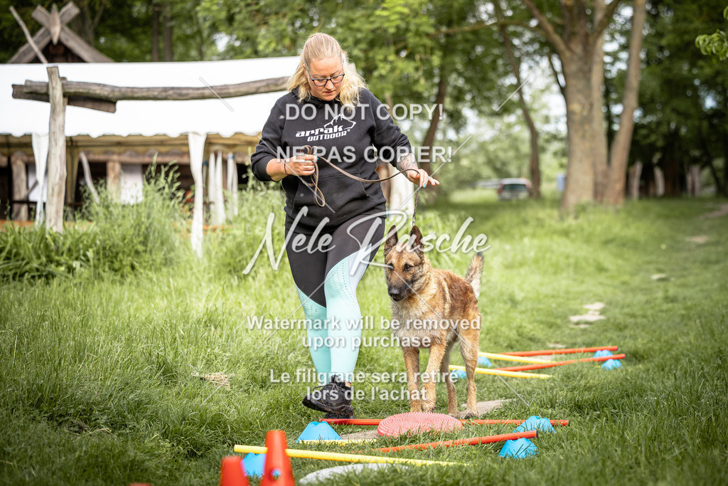 nelerasche_So-earlydog_34 | nelerasche