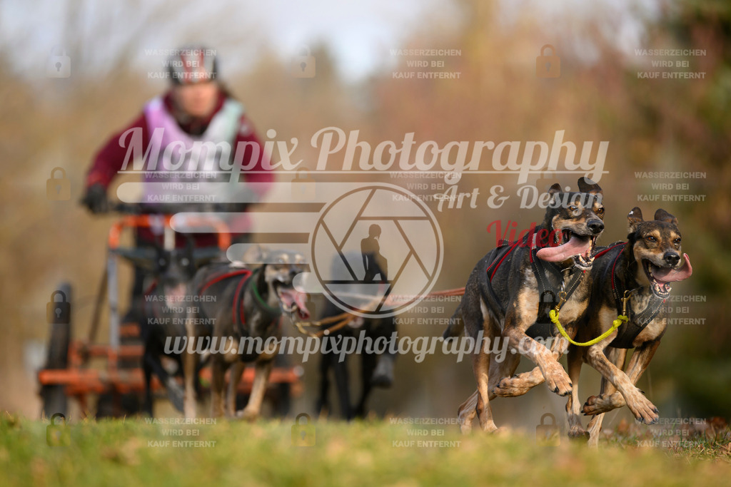 MompixPhotography_10Schwabentrail2026_SO_Kart-9 | PayLife