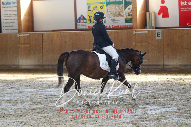 DKP45185 | Turniersportfotografie; Pferdefotografie; Dressurfotografie