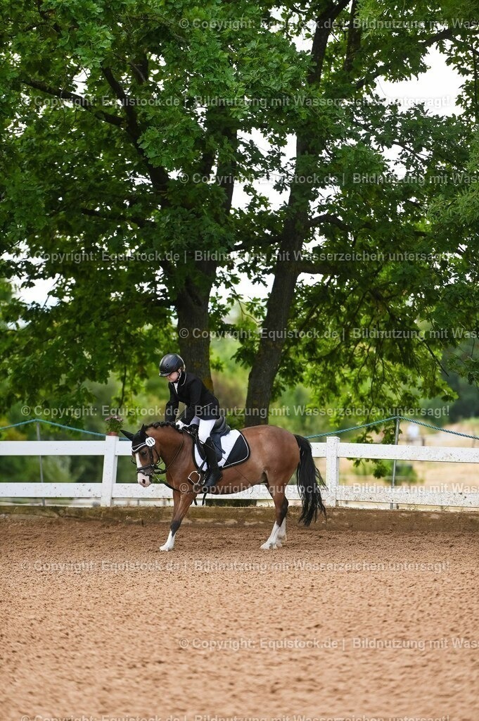 20230716_10-2_Reiter-WB Schritt - Trab - Galopp_0142 | equistock