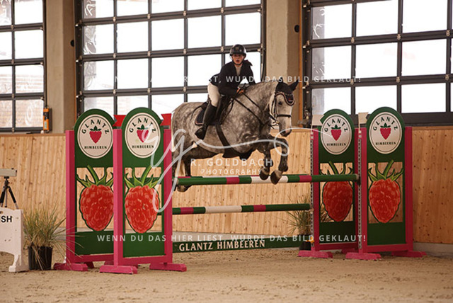 1J2A2453Rica Marlene Scholz_ Cool Shuttle S_ Kn170_ Hohen Wieschendorf_ Glantz | Foto- und Videografie für alles rund ums Pferd. Hochwertige Bilder und Videos vom Spring- und Dressurreiten, Voltigieren & mehr. Jetzt aktuelle Veranstaltungen und Preise im Shop ansehen. - Realisiert mit Pictrs.com