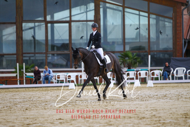 DKP43615 | Turniersportfotografie; Pferdefotografie; Dressurfotografie