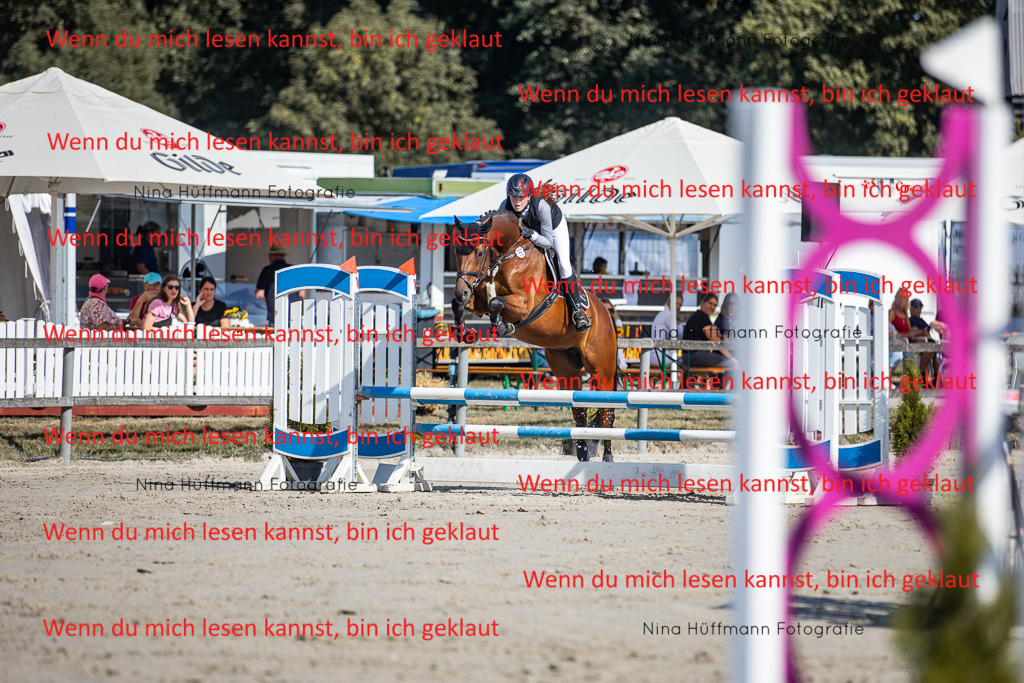 BK1A7124 | Turnierbilder Turnierfotos Nina Hüffmann Turnierfotografie Pferdefotografie Tierzeichnung Haustierzeichnung Pferdezeichnung Hundezeichnung Videograf  - Realisiert mit Pictrs.com